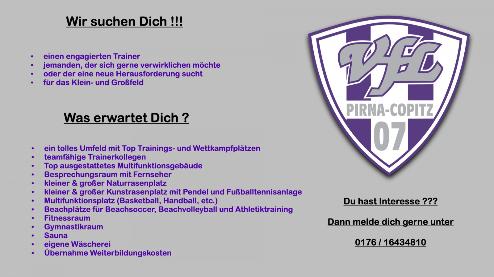 Für das Groß- und Kleinfeld: Der VfL Pirna sucht Nachwuchs-Trainer*innen. Grafik: VfL/tg