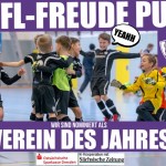 Der VfL Pirna-Copitz ist nominiert als &quotVerein des Jahres". Grafik: VfL/ts