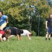 25.08.2012_City-Boot-Camp_Pirna_mit_Dani_045