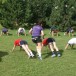 25.08.2012_City-Boot-Camp_Pirna_mit_Dani_055