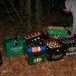 IMG_7941