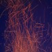 IMG_8257